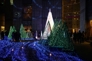 tokyo ilumi044