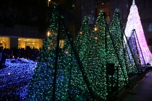 tokyo ilumi045