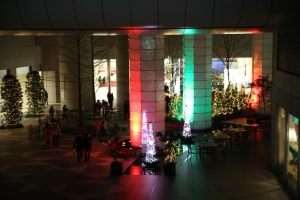 tokyo ilumi053