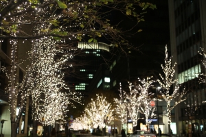 tokyo ilumi061