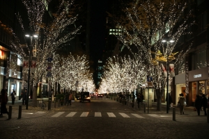 tokyo ilumi064