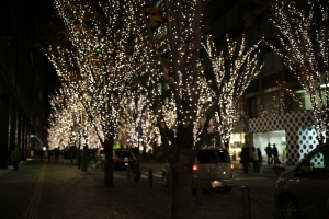 tokyo ilumi065