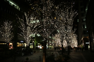 tokyo ilumi066