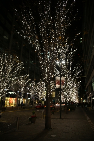 tokyo ilumi068