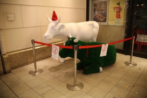 tokyo ilumi069