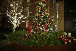 tokyo ilumi071