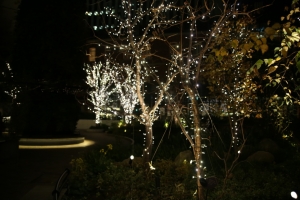 tokyo ilumi072