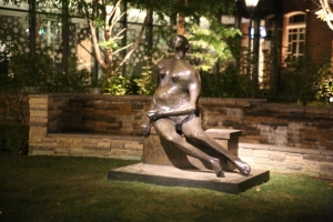 tokyo ilumi073