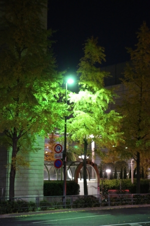 tokyo ilumi074