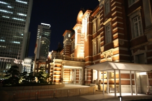 tokyo ilumi085