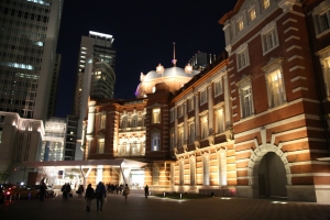 tokyo ilumi089