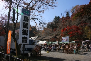 torii 001