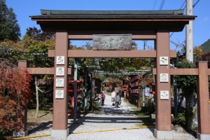 torii 002