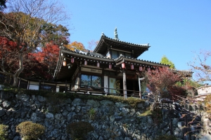 torii 004