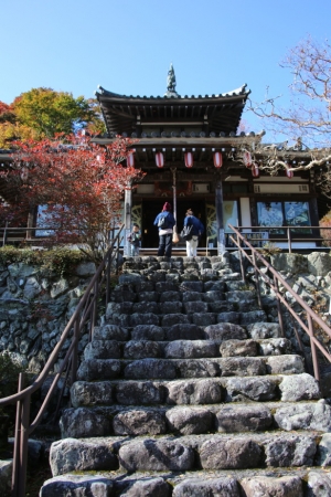 torii 005