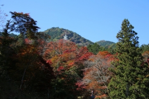 torii 010