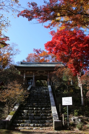 torii 020