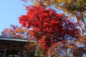 鳥居観音（１／３）