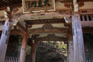 torii 022