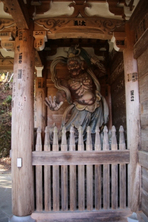 torii 023