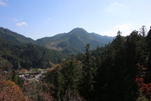 torii 025
