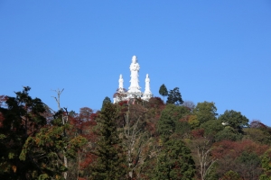 torii 026