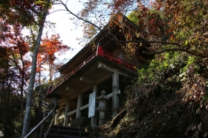 torii 030