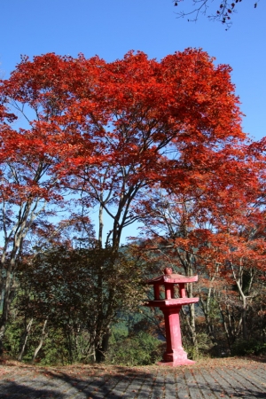 torii 047
