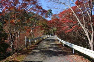 torii 048
