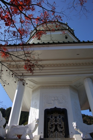 torii 059