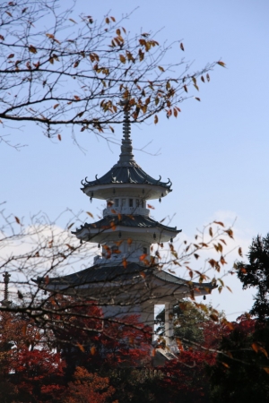 torii 087