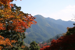 torii 091