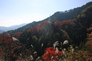 torii 099