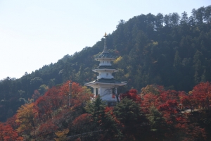 torii 100