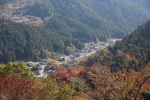 torii 102