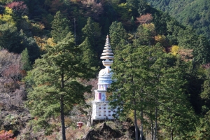 torii 108