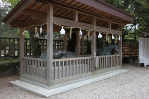 tottori  141