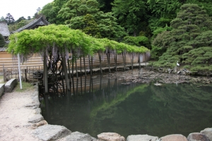 tottori  152