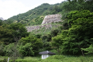 tottori  226