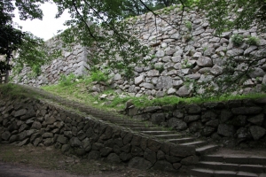 tottori  228
