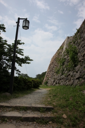 tottori  229