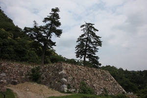 tottori  244