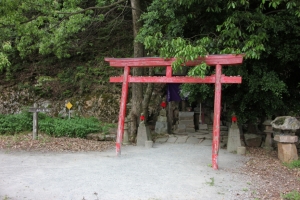 tottori  245