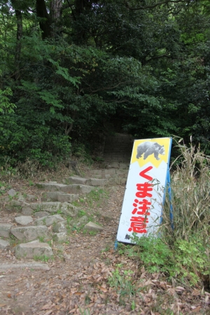 tottori  248