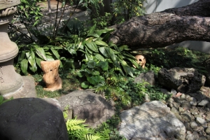 tottori  085