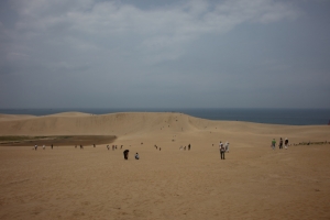 tottori  194