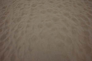 tottori  198