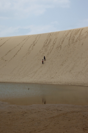 tottori  201