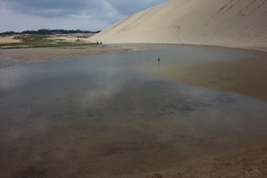 tottori  202