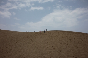tottori  203